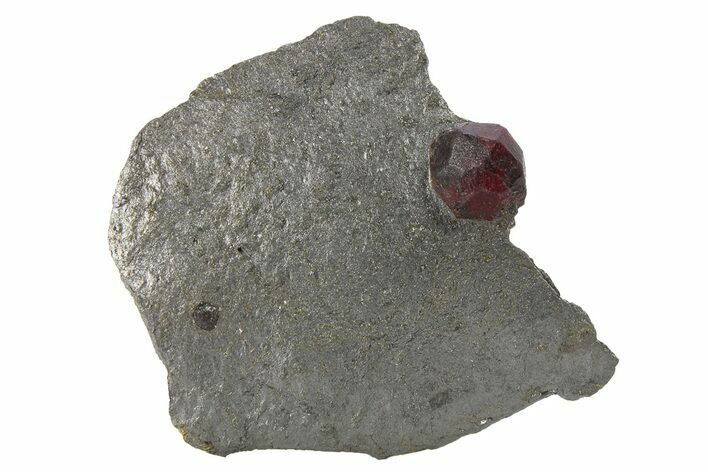 Red Embers Garnet in Sparkly Graphite - Massachusetts #272777
